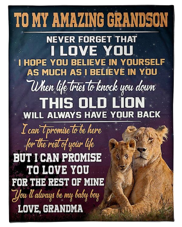 To My Amazing Grandson This Old Lion Will Always Have Your Back Gifts - Image 2